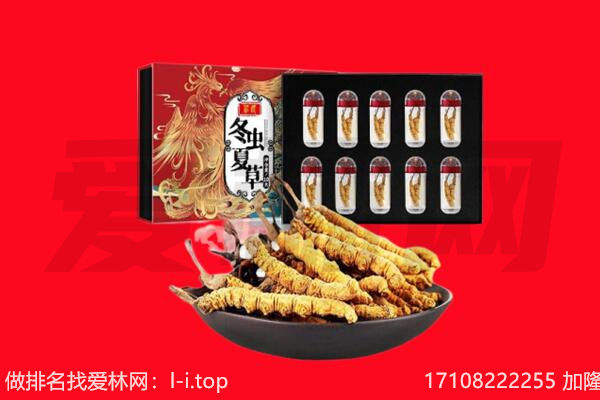 新晃县回收虫草.jpg
